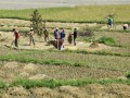 East_indiaIMG_1833_resize