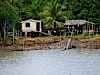 one of many delta sawmills