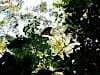 Resize-of-DSC_7264
