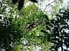 Resize-of-DSC_7277
