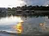 Resize-of-DSC_7287