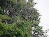 Resize-of-DSC_7292