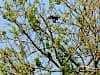 Resize-of-DSC_7349