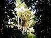 Resize-of-DSC_7362