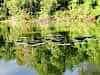 Resize-of-DSC_7370