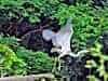 Resize-of-DSC_7418-E