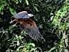 Resize-of-DSC_7438