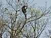Resize-of-DSC_7503