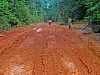 Next section of mud