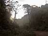 Sheer beauty of the Amazon