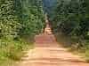 Away again, forest closing in