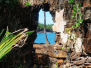 Papillon's Island