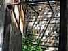 Resize-of-DSC_8075