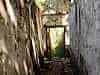 Resize-of-DSC_8082