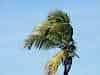 Coconuts - the key to Papillon's escape