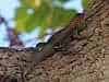 Resize-of-DSC_8735-E