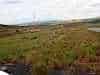Gran Sabana - like the desert road
