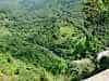 The east side of the Andes adorned with forest