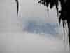 Reminds you of Tibet - buildings in the mist