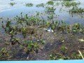 inle_lakeIMG_2363_resize