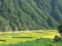 The Korean Countryside