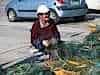 Cleaning the nets - otherwise known as the odl folks pension work