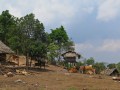 IMG_1868_resize.jpg