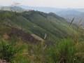 IMG_1869_resize.jpg