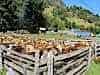 Resize-of-CS-Day-41-Cisnes-to-Peuto-Aisen-7