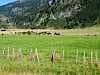 like a West Coast farm