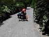 Tough man from Japan winds his way uphill