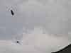 return of the condors