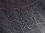 Nazca