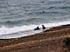 Resize-of-DSC_4577