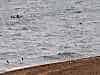 Resize-of-DSC_4584