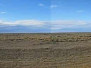 It's a Long Way North