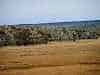 Resize-of-DSC_4287