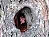 Resize-of-Rotation-of-DSC_4414