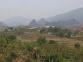 IMG_1916_resize.jpg