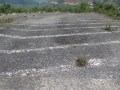 IMG_3279_resize.jpg
