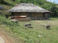 northern_LaoIMG_1743.jpg