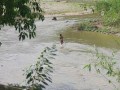 northern_LaoIMG_1747.jpg