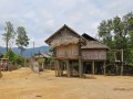 northern_LaoIMG_1765.jpg