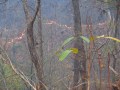 northern_thailandIMG_3025.jpg