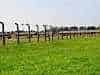Birkenau's Accomodation