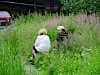 Resize-of-DSC_5867