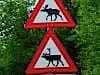Yeah sure - more signs than wildlife, that's for real. Pull the other one