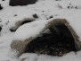 ourfarsouth-intodryvalleys