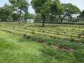 River-KwaiIMG_3492_resize.jpg