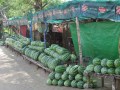 IMG_1929_resize